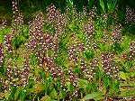 20080501hgs081.jpg