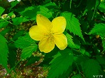 20080501hgs089.jpg