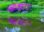 20080501hgs095.jpg