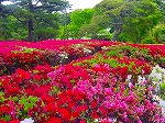 20080501hgs098.jpg