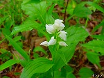 20080501hgs107.jpg