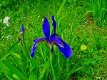 20080501hgs117.jpg