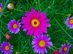20080501hgs150.jpg