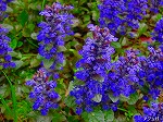 20080501hgs157.jpg