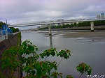 20080504hmg015.jpg