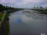 20080504hmg023.jpg