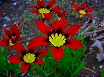 20080504hmg094.jpg