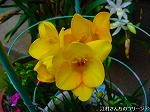 20080504hmg104.jpg