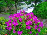20080505mck055.jpg