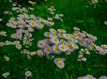 20080509tg015.jpg