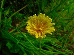 20080509tg016.jpg