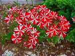 20080509tg017.jpg