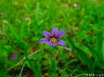 20080509tg026.jpg