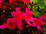 20080509tg044.jpg