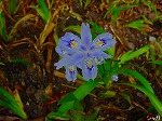 20080509tg073.jpg