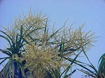 20080509tg080.jpg