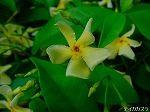 20080509tg095.jpg