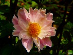 20080515kt008.jpg