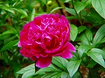 20080515kt020.jpg