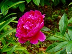 20080515kt024.jpg