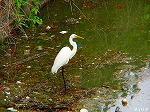 20080515kt029.jpg