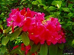 20080515kt090.jpg