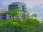 20080519km060.jpg