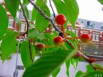 20080519km067.jpg