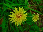 20080519km071.jpg