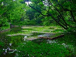 20080519km072.jpg