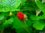 20080519km073.jpg