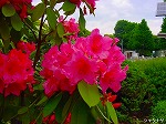 20080519km114.jpg