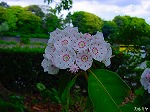 20080519km119.jpg