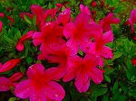 20080519km123.jpg