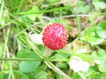 20080523tr006.jpg