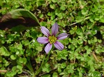 20080523tr008.jpg