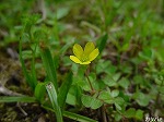 20080523tr017.jpg