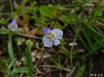 20080523tr019.jpg
