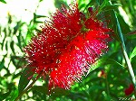 20080527kt008.jpg