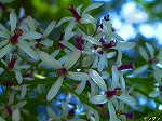 20080527kt012.jpg