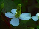 20080527kt026.jpg