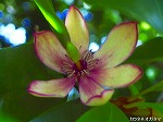 20080527kt028.jpg