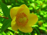 20080527kt056.jpg