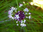 20080527kt059.jpg