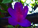 20080527kt063.jpg