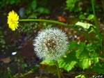 20080527kt064.jpg
