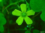 20080527kt066.jpg