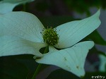 20080527kt079.jpg