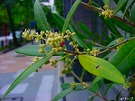 20080602bg020.jpg