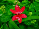 20080602bg025.jpg